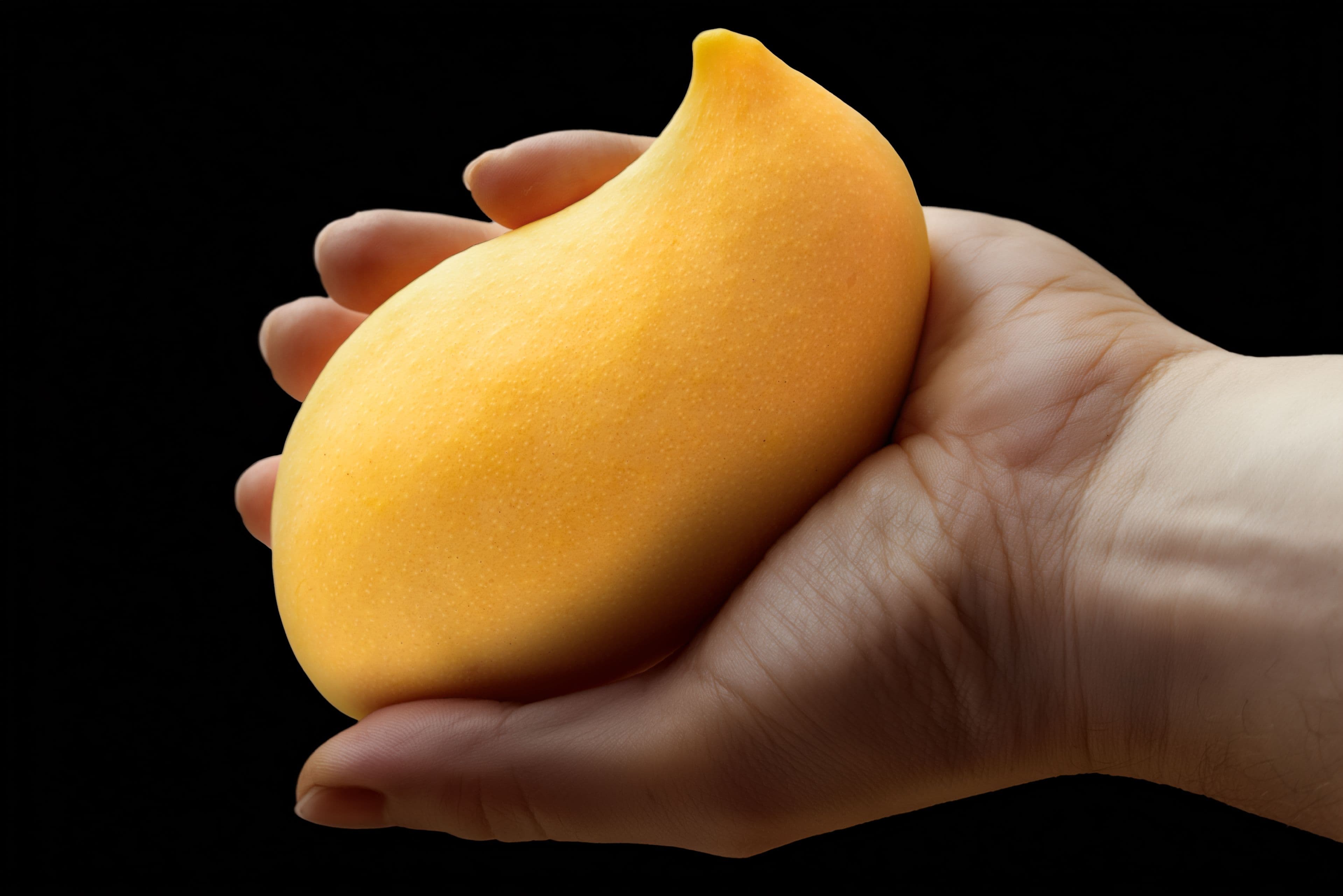 Premium Indian Mangoes