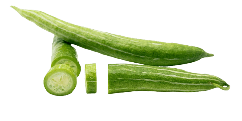 Snake Gourd