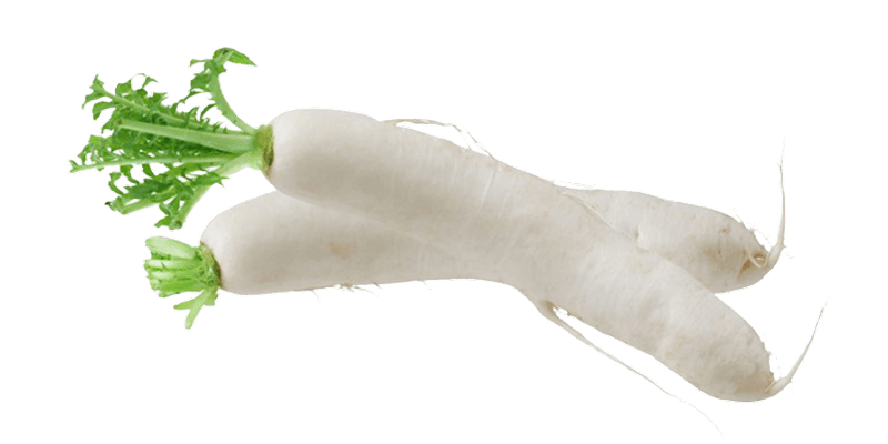 White Raddish